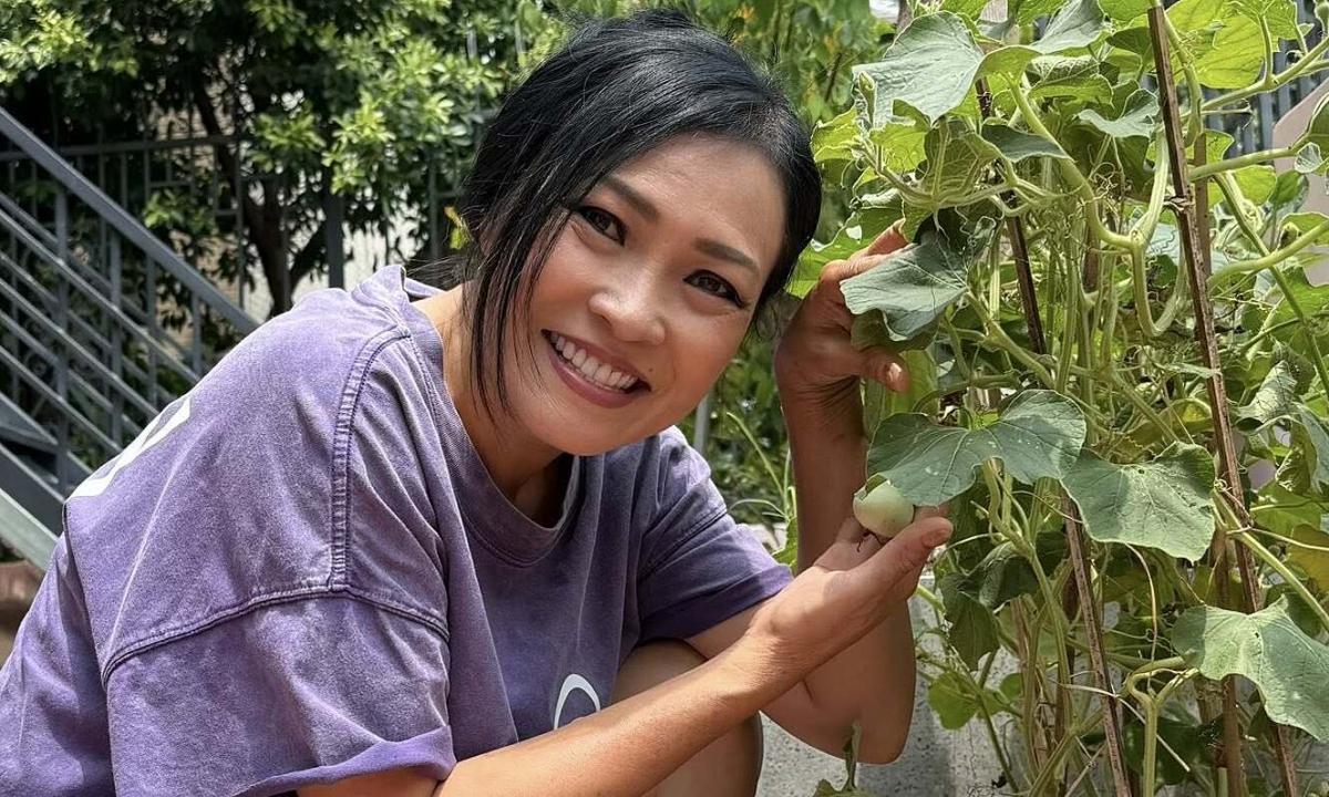 Thưởng đăng ký F8BET và cảm hứng sống xanh từ vườn rau sân thượng của Phương Thanh - hình ảnh - f8betv.vip