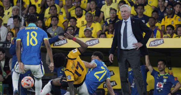 Đội tuyển Brazil họp khẩn, sự thật về suất dự World Cup của Neymar được hé lộ - hình ảnh - f8betv.vip Đội tuyển Brazil họp khẩn, sự thật về suất dự World Cup của Neymar được hé lộ - hình ảnh - f8betv.vip