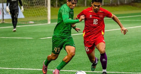 F8BET cược bóng đá: U.19 Việt Nam đối mặt thách thức lớn tại giải Đông Nam Á 2026 - hình ảnh - f8betv.vip