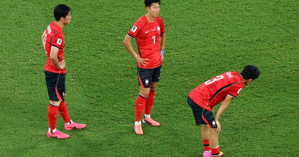 Thể thao trực tuyến: Hàn Quốc thất vọng World Cup, F8BET cập nhật tỷ lệ cược châu Á - hình ảnh - f8betv.vip Thể thao trực tuyến: Hàn Quốc thất vọng World Cup, F8BET cập nhật tỷ lệ cược châu Á - hình ảnh - f8betv.vip