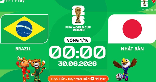 Nhận định Brazil vs Nhật Bản: Trận cầu nghẹt thở và cơ hội cá cược hấp dẫn - hình ảnh - f8betv.vip Nhận định Brazil vs Nhật Bản: Trận cầu nghẹt thở và cơ hội cá cược hấp dẫn - hình ảnh - f8betv.vip