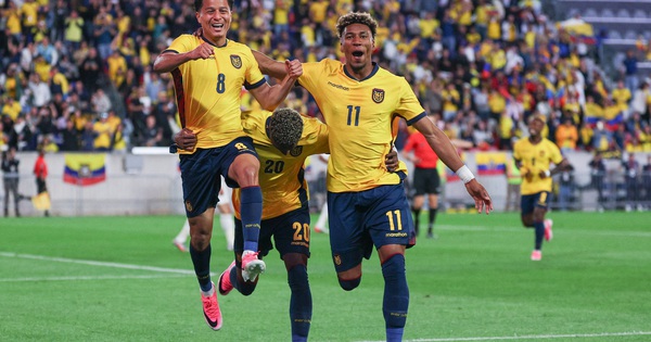 F8BET baccarat và sức nóng từ đội tuyển Ecuador trước thềm World Cup 2026 - hình ảnh - f8betv.vip