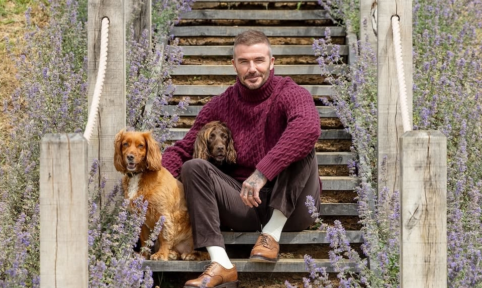 Phong cách mặc giàu ngầm của David Beckham và bài học thời trang cho người Việt - hình ảnh - f8betv.vip