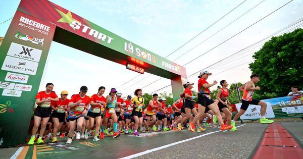 Lý Sơn Half Marathon 2026: Sức hút từ cung đường biển đảo và cơ hội cá cược thể thao uy tín - hình ảnh - f8betv.vip